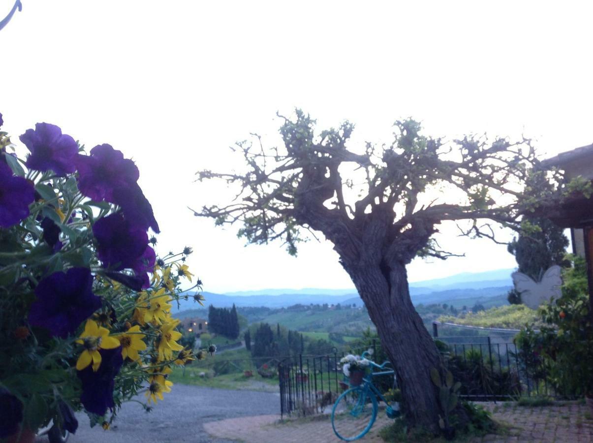 Podere Botruccio Bellaria 波马兰切 外观 照片